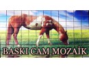 Cam Mozaik